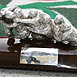 Babcock Trophy for Inter-Services Rugby