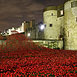 Poppies @ The Tower 2014